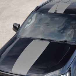 Dungi Decorative, Predator, Ford Ranger Cabină Dublă / Cabină Extra 2019 - 2022 - EDK.ro