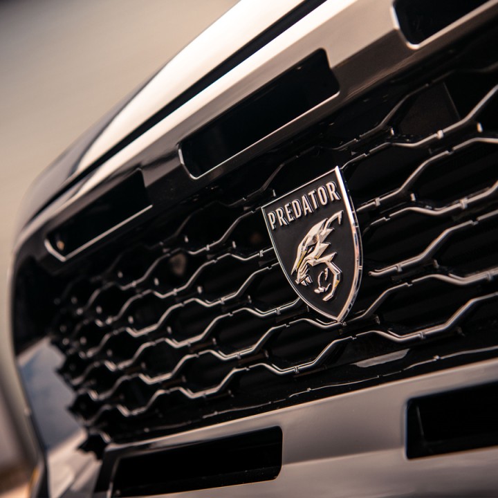 Grilă Față, Predator Plasă, Culoare Negru Lucios sau Mat, Ford Ranger Wildtrak Cabină Dublă 2019 - 2022 - EDK.ro