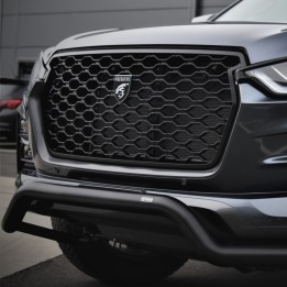 Grilă Față, Predator Plasă, Culoare Negru Mat, Isuzu D-Max Cabină Dublă 2021 - 2024 - EDK.ro