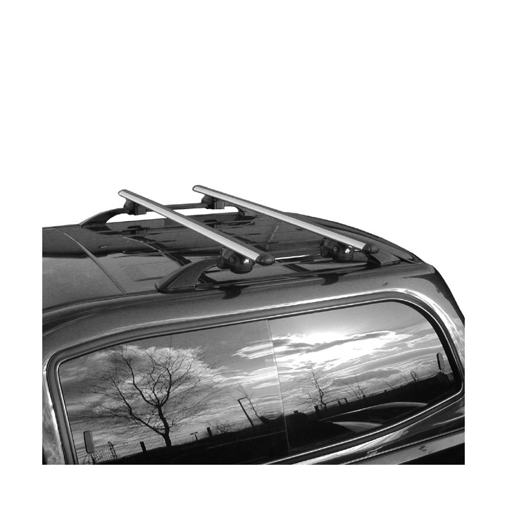 Bare Transversale de Plafon, Trux Hardtop Canopies, Isuzu Rodeo Cabină Dublă 2003 - 2012 - EDK.ro