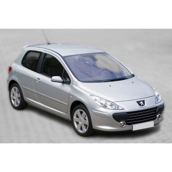 Front Wind Deflectors Pair, Trux 3Dr, Peugeot 307 2002 - 2008 - EDK.ro