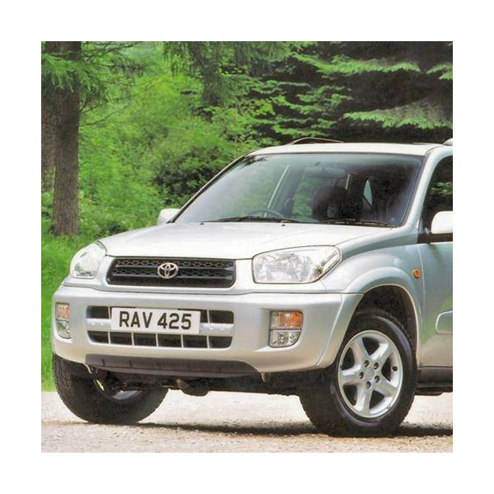 Pereche Paravânturi Față, Trux LWB, Culoare Fumuriu, Toyota RAV4 1994 - 2000 - EDK.ro