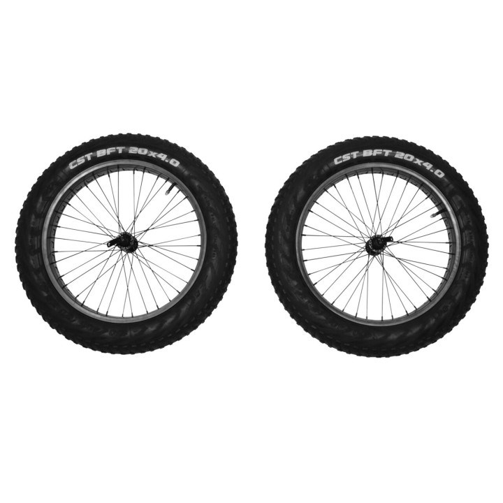 Remorcă Bicicletă, Thule Set de 2 Lat 20 Inch Wheels pentru Reacha - EDK.ro