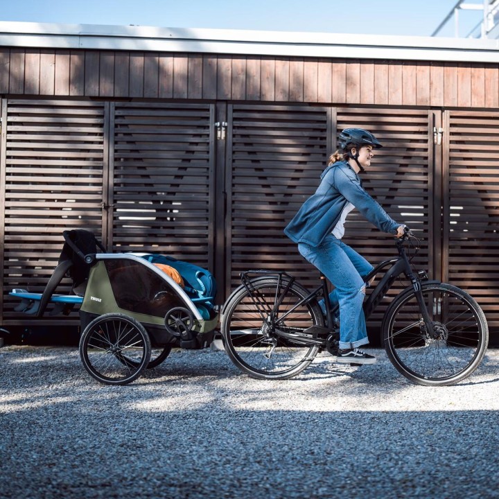 Bike Trailer, Thule Courier Vintage 2-child, Color Green - EDK.ro