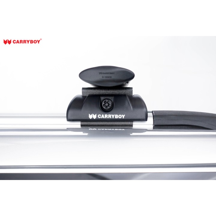 Portbagaj de Plafon, Maxliner Carryboy pentru Flat Plafon Rail - EDK.ro
