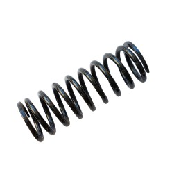 Front/Rear Coil Spring, EFS (Defender 90/110 +50 mm at 0-45/50-80 kg) (Rangerover +50 mm at 100 kg), Land Rover Defender 90 1991