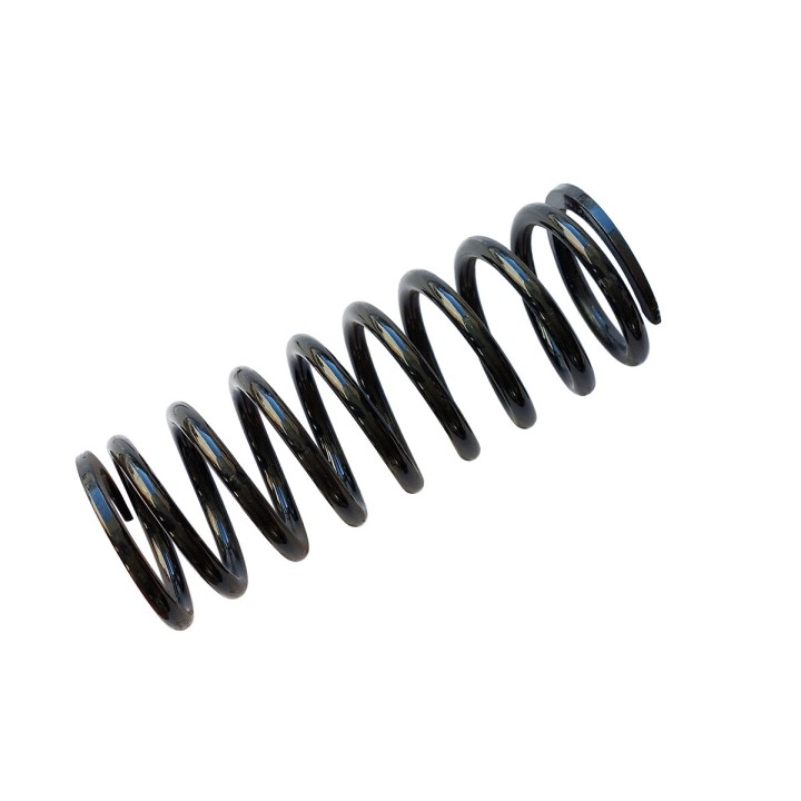 Front/Rear Coil Spring, EFS (Defender 90/110 +50 mm at 0-45/50-80 kg) (Rangerover +50 mm at 100 kg), Land Rover Defender 90 1991