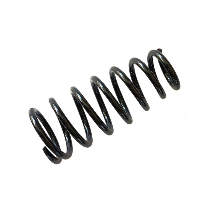 Rear Coil Spring, EFS (Landcruiser 250 +50 mm at 250 kg) (Landcruiser 200 +35 mm at 250 kg), Toyota Land Cruiser 2008 - 2024 - E