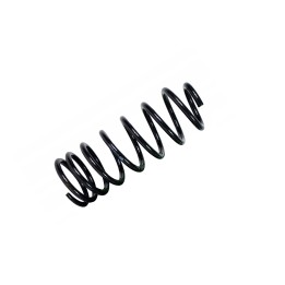 Rear Coil Spring, EFS (+50 mm at 300 kg), Toyota Land Cruiser 2022 - Present - EDK.ro