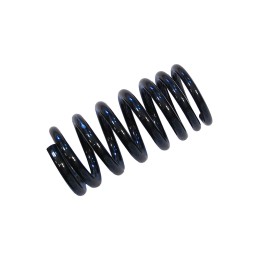 Rear Coil Spring, EFS (+40 mm at 500 kg), Mitsubishi Montero 2000 - 2006 - EDK.ro