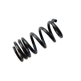 Rear Coil Spring, EFS (+40 mm at 150 kg), Mitsubishi Montero 2000 - 2006 - EDK.ro
