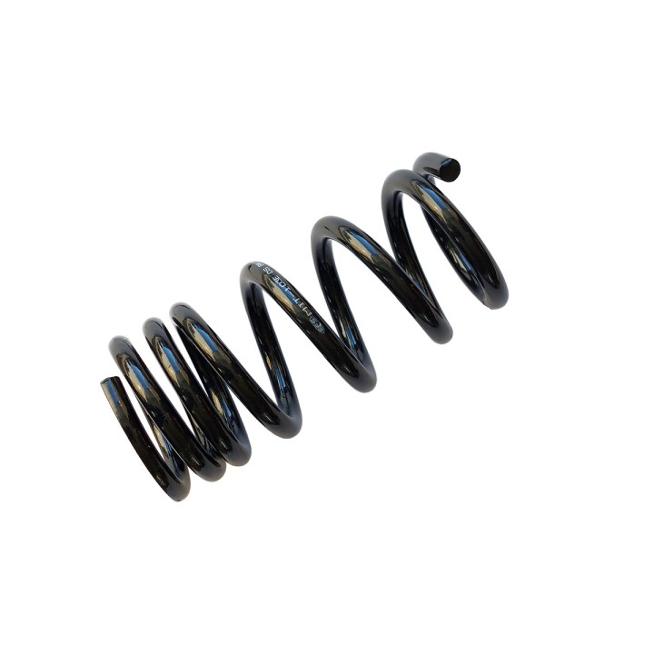 Rear Coil Spring, EFS (+40 mm at 150 kg), Mitsubishi Montero 2000 - 2006 - EDK.ro