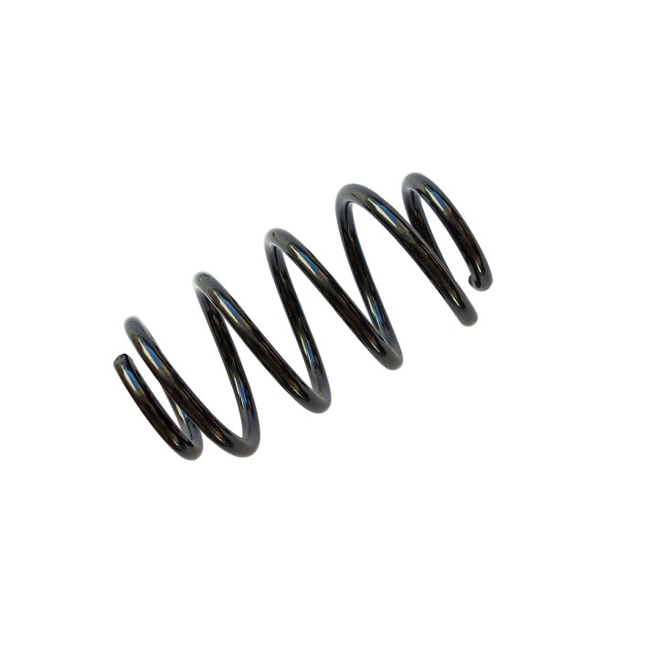 Rear Coil Spring, EFS (+40 mm at 100 kg) - EDK.ro