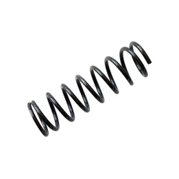 Rear Coil Spring, EFS (+40 mm at 0 kg) - EDK.ro