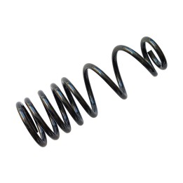 Rear Coil Spring, EFS (+30 mm at 350 kg) (2021+), Nissan Navara 2016 - Present - EDK.ro