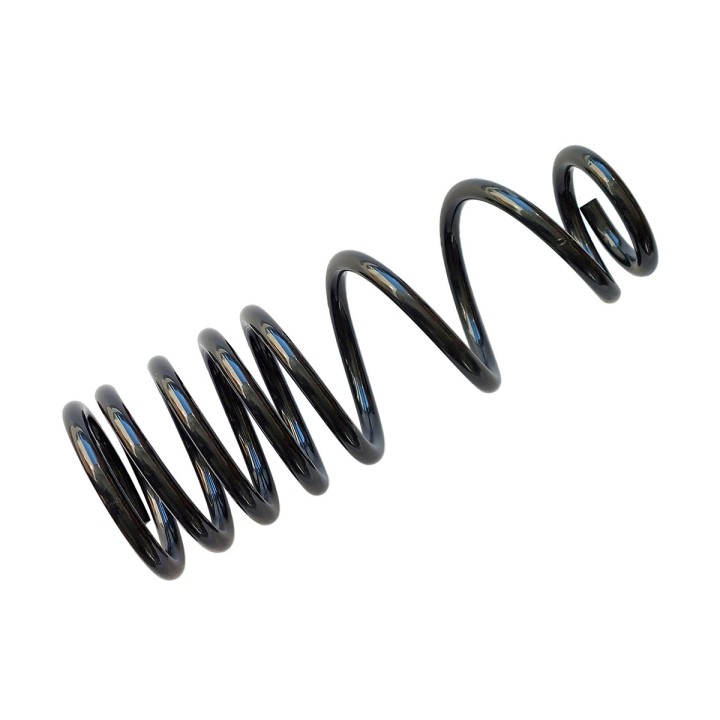 Rear Coil Spring, EFS (+30 mm at 300 kg) (2016-2020) - EDK.ro