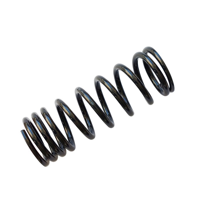 Progressive Front/Rear Coil Spring, EFS (Defender 90/110 +50 mm at 50-100 kg) (Discovery/Rr +50 mm at 100 kg), Land Rover Defend