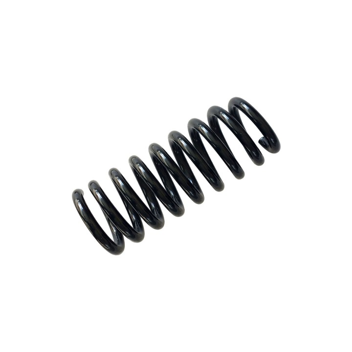 Front Coil Spring, EFS (5P V6 +30 mm at 0-30 kg) - EDK.ro
