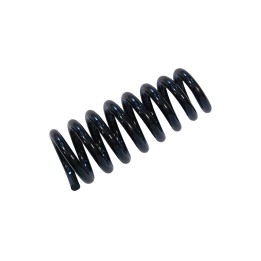 Front Coil Spring, EFS (2.0 +25 mm at 60-80 kg), Volkswagen Amarok 2010 - 2022 - EDK.ro