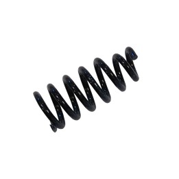 Front Coil Spring, EFS (+30 mm at 50-90 kg) - EDK.ro