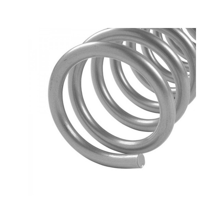 Rear Coil Springs, Rough Country Lift 6 Inch, Dodge RAM 1500 2019 - Present - EDK.ro