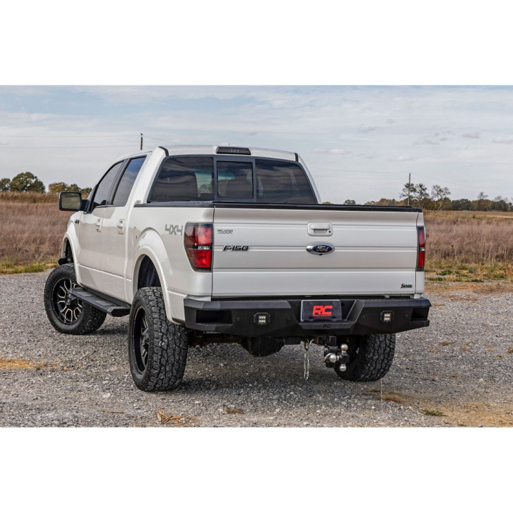 Side Steps, Rough Country HD2, Ford F-150 2009 - 2014 - EDK.ro
