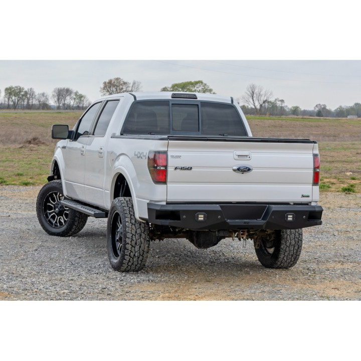 Praguri Laterale, Rough Country BA2, Ford F-150 2009 - 2014 - EDK.ro