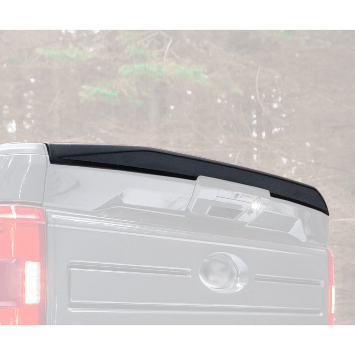 Eleron Hayon, Air Design, Ford F-150 2021 - Prezent - EDK.ro