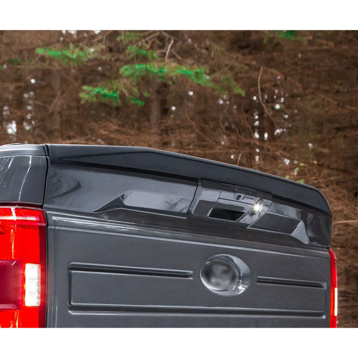 Eleron Hayon, Air Design, Ford F-150 2021 - Prezent - EDK.ro