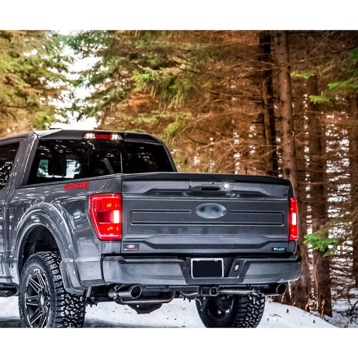 Eleron Hayon, Air Design, Ford F-150 2021 - Prezent - EDK.ro