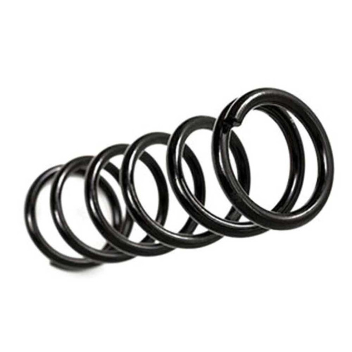 Front Coil Springs, BDS Suspension Pro-Ride Lift 3 Inch, Jeep Wrangler 1997 - 2006 - EDK.ro