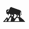 Bison Gear Overland Storage Made in Poland - EDK.ro